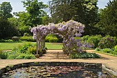 LILY POND FLANKED BY TWO OAK ARBOURS CLAD IN WISTERIA, HYLANDS PARK, ESSEX