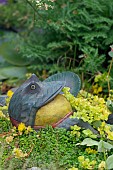 OORNAMENTAL FROG SURROUNDED BY SOLEIROLIA SOLEIROLII (MIND YOUR OWN BUSINESS), LYSIMACHIA NUMMULARIA (CREEPING JENNY), STACHYS SILVER CARPET,