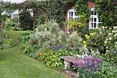 STONE BENCH WITH BORDER IN FRONT OF COTTAGE; KITCHEN GDN WITH GREENHOUSE IN BGD. ERYSIMUM BOWLES MAUVE,  ERYSIMUM APRICOT DELIGHT,  MARGUERITE,  CHOISYA TERNATA,  GENISTA (BROOM),   EUPHORBIA MELLIFERA