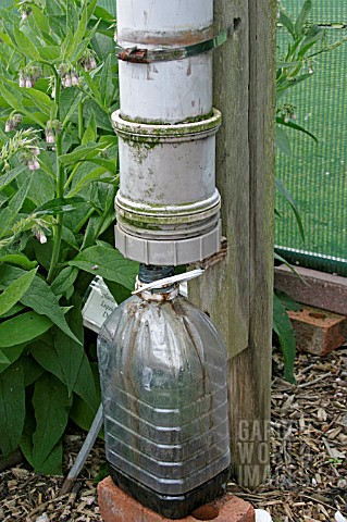 PLASTIC_COLUMN_USED_TO_MAKE_LIQUID_FEED_FROM_COMFREY