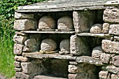 BEEHIVES IN STONE SHELTER