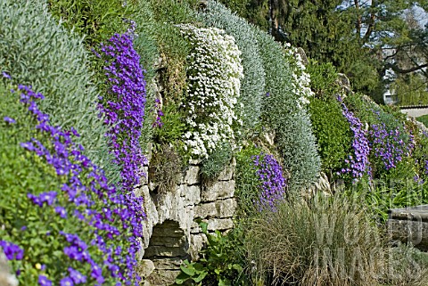 Flowers_growing_on_stone_wall