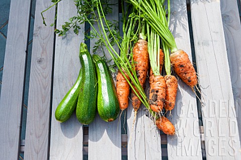 Harvest_of_zucchini_and_carrots_in_a_garden