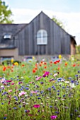 Flowered meadow in front of a barn