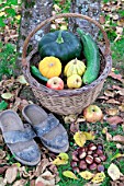 Basket of various autumn vegetables: pumpkin, zucchini, apples, walnuts, chestnuts and pair of shoes