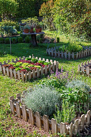 Aromatic_plants_in_a_square_foot_kitchen_garden_Provence_France