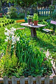 Lilium, Gladiolus, Dahliasand aromatic plants in pots, Vegetable Garden, Provence, France
