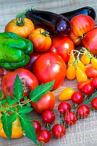 Tomatoes_aubergine_and_peppers_Provence_France
