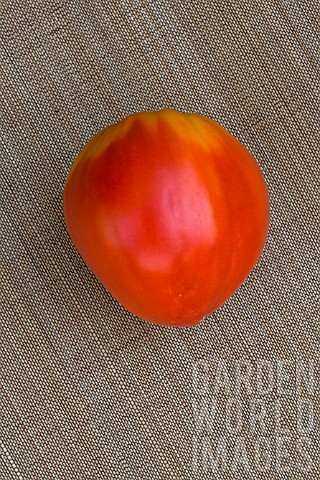 Tomato_Coeur_de_boeuf_Ox_Heart_Provence_France