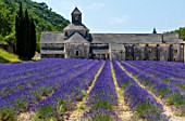 The Abbaye de Senanque, Cistercian Architecture, Gordes Village, Provence, France, Europe