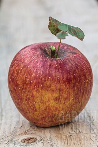 Braeburn_apple