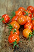 Cherry tomatoes (Solanum lycopersicum)