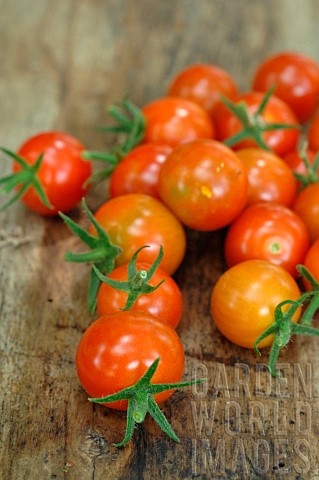 Cherry_tomatoes_Solanum_lycopersicum