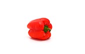One red ripe bell pepper on a light background. Natural product.