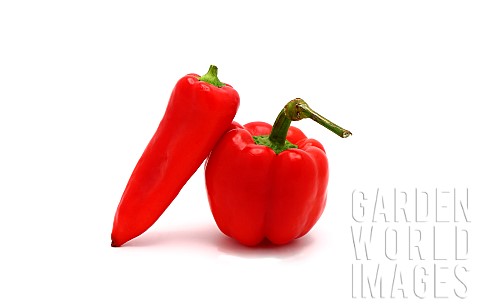 Two_red_ripe_sweet_peppers_on_a_light_background_Natural_product