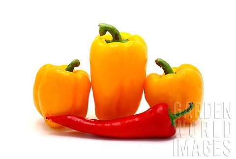 Composition_of_yellow_and_red_sweet_peppers_of_different_sizes_on_a_light_background_Natural_product