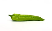 One pepper of green color on a light background. Natural product. Natural color. Close-up.