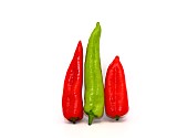 Three chili peppers of red and green color on a light background. Natural product. Natural color. Close-up.
