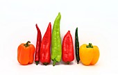 Composition of several types of sweet pepper of different shapes, colors and sizes on a light background. Natural product. Natural color. Close-up
