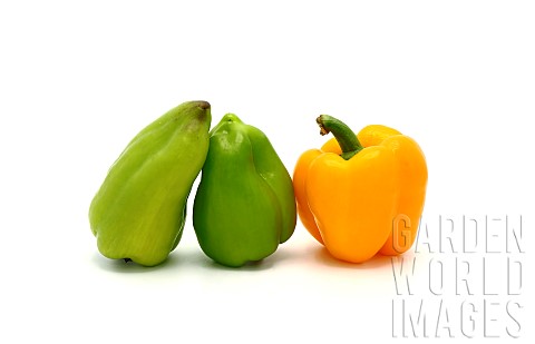 Three_sweet_peppers_of_yellow_and_green_color_on_a_light_background_Natural_product_Natural_color_Cl