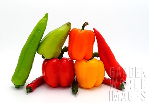 Composition_of_several_types_of_sweet_pepper_of_different_shapes_colors_and_sizes_on_a_light_backgro