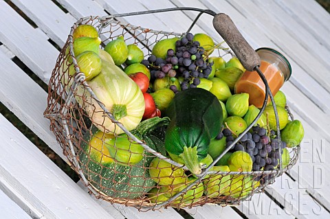 Harvest_of_white_figs_black_grapes_courgettes_and_tomatoes_in_a_salad_basket