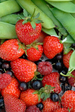 Garden_Peas_and_Soft_Fruits_Strawberries_Raspberries_and_Blackcurrants