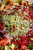 Raw vegetable salad (beetroot, tomato, cucumber...) with sprouted seeds