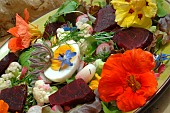 Raw salad dish: cauliflower and red beetroot, with hard-boiled egg, herbs and edible flowers: borage and nasturtium, from the garden