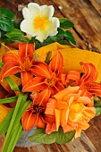 Orange Daylily (Hemerocallis fulva) and Rose (Rosa sp) in a bouquet on a wooden table