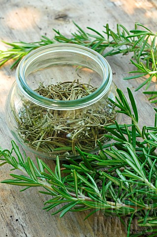 Rosemary_Rosmarinus_officinalis_Fresh_and_dried_rosemary_in_a_glass_jar_medicinal_and_aromatic_plant
