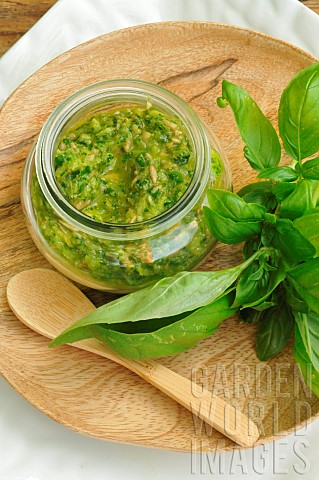 Pesto_Basil_Ocimum_basilicum_Basil_in_cooking_pesto_on_a_wooden_dish_fresh_basil_leaves