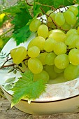 Organic white grapes (Vitis vinifera) on a plate, summer fruits