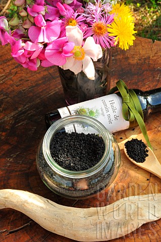 Fennel_flower_Nigella_sativa_seeds_and_oil_medicinal_properties_spice
