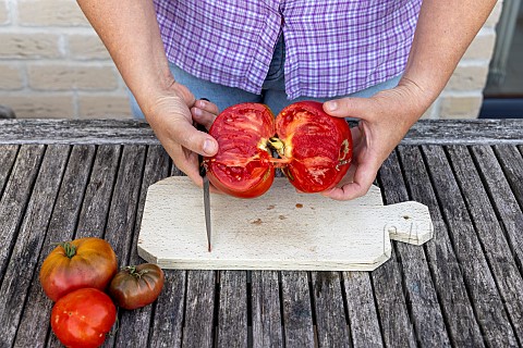 Harvesting_seeds_of_old_variety_tomatoes_Coeur_de_boeuf