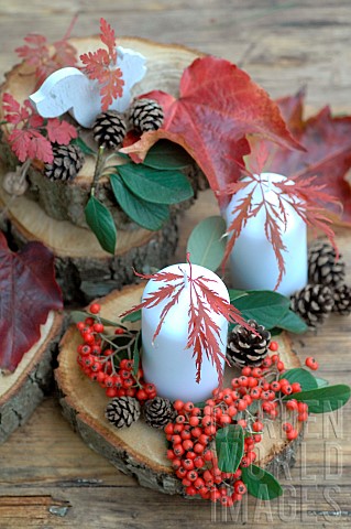 Candles_and_nature_decoration_autumn_leaves_pine_cones_Cotoneaster_berries