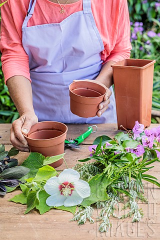 Cutting_atmosphere_in_summer_choice_of_different_sizes_and_shapes_of_pots_in_which_to_put_the_cuttin