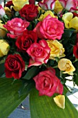 60 mixed coloured roses (Rosa sp.)