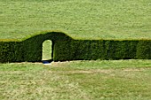 Hedge with doorway at Abbotsford in Scotland