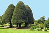 Topiary at Malleny Garden in Scotland