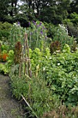 Flowering vegetable garden of Malleny, in Scotland