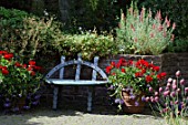 Bench surrounded by potfuls of red Pelargonium