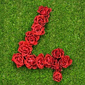 NUMBER 4 IN RED ROSES