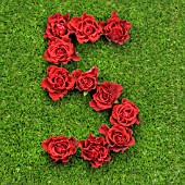 NUMBER 5 IN RED ROSES