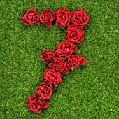 NUMBER 7 IN RED ROSES