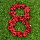 NUMBER 8 IN RED ROSES