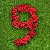 NUMBER 9 IN RED ROSES