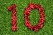 NUMBER 10 IN RED ROSES