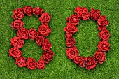 NUMBER 80 IN RED ROSES
