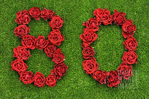 NUMBER_80_IN_RED_ROSES